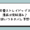 『文豪ストレイドッグス』漫画は完結済み？最終回いつネタバレ予想も！