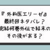 『外科医エリーゼ』最終回ネタバレ？完結何巻外伝で結末のその後がある？