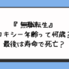 『無職転生』ロキシー年齢って何歳？最後は寿命で死亡？